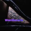 Sasha Sinns, independent escort in Wellard WA – photo 8