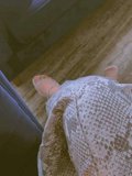 Sexy Booty Queen, independent escort in Tullamarine VIC – photo 5