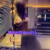 Skylar, independent escort in Newcastle NSW – photo 4
