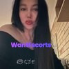 Yellow, independent escort in South Toowoomba QLD – photo 7