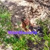 Zoe Zest, independent escort in Brisbane QLD – photo 4