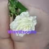 Violet, independent escort in Redcliffe QLD – photo 17
