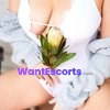 Cat Fox Pro, independent escort in Canberra ACT – photo 4