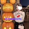 Asano Beauty, independent escort in Upper Mount Gravatt QLD – photo 4