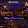 Langtrees VIP Canberra, escort establishment in Canberra ACT – photo 8