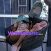 Lisa Wu, independent escort in Brisbane QLD – photo 8