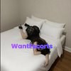 Mila Rae, independent escort in Surry Hills NSW – photo 5