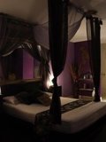 88 On Logan, escort establishment in Woolloongabba QLD – photo 5