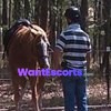 Alexander Cole, male escort in Mooloolaba QLD – photo 3
