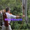 Alexander Cole, male escort in Mooloolaba QLD – photo 4