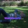 Alexander Cole, male escort in Mooloolaba QLD – photo 2
