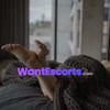 Sophia Knight, independent escort in Cabramatta West NSW – photo 2