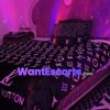 ss988, independent escort in Brisbane QLD – photo 5
