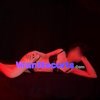 Mistress Yui, independent escort in Sydney NSW – photo 2